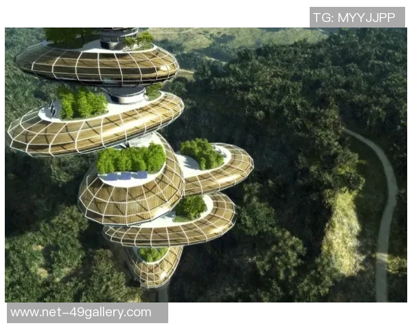 平福与清化的对比分析及其对未来发展的影响探讨