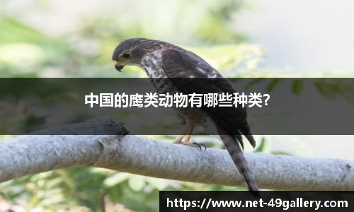 49图库官网