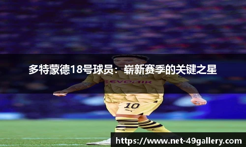 49图库首页