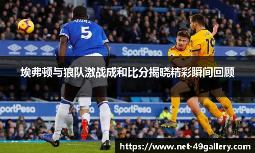 49图库正版免费