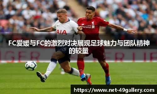 49图库正版免费